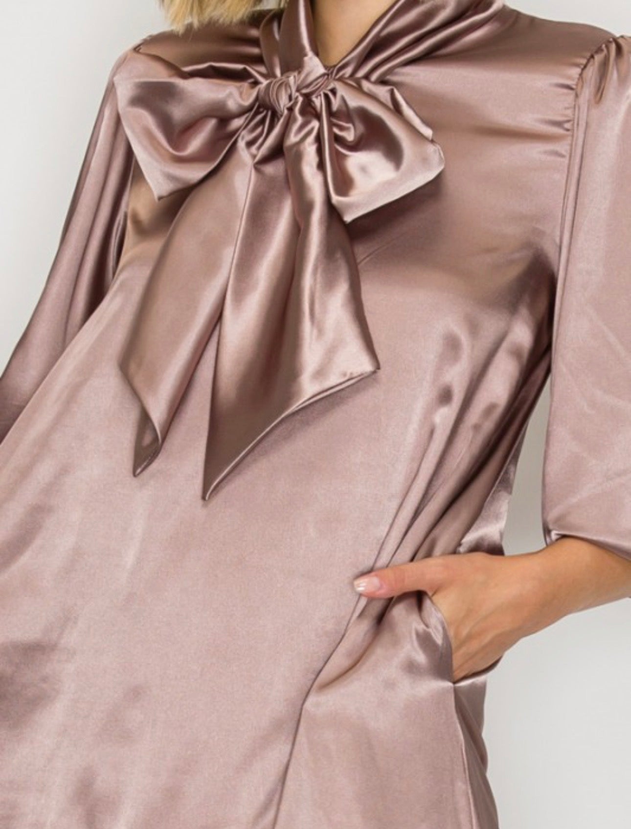 Plus Iced Latte Dress