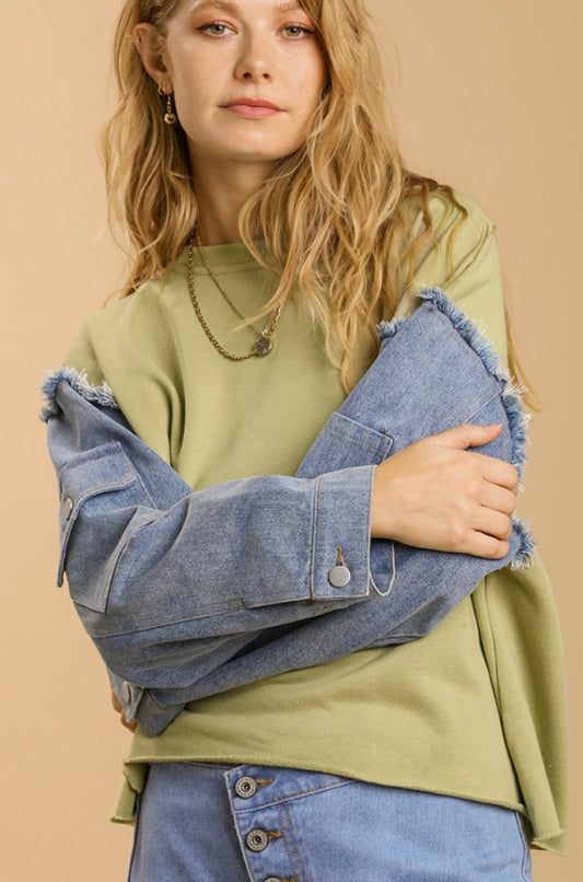Jean Sleeve Green Sweater